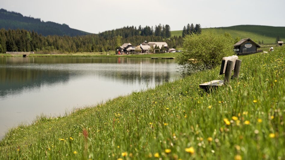 Hiking route Hochlantsch Hiking Tour - Touren-Impression #2.3 | © Oststeiermark Tourismus
