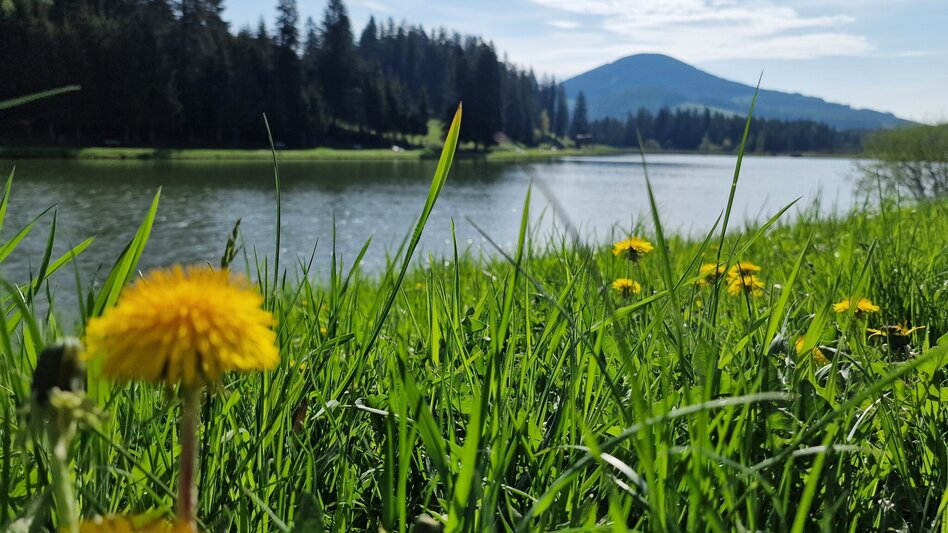 Hiking route Hochlantsch Hiking Tour - Touren-Impression #2.5 | © Oststeiermark Tourismus