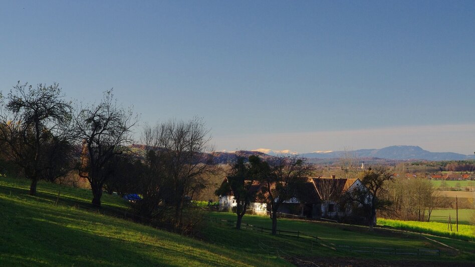Bike Riding Riegersburg castle tour - FF 16 (Riegersburgtour) - Touren-Impression #2.4 | © Thermen- & Vulkanland
