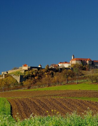 Die imposante Riegersburg | Jörg Liemandt | © Erlebnisregion Thermen- & Vulkanland