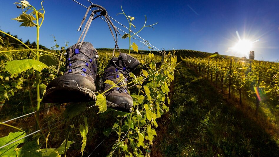 Hiking route Grubtaler Weg, Nr. 2 - Touren-Impression #2.2 | © TVB Südsteiermark/Harry Schiffer