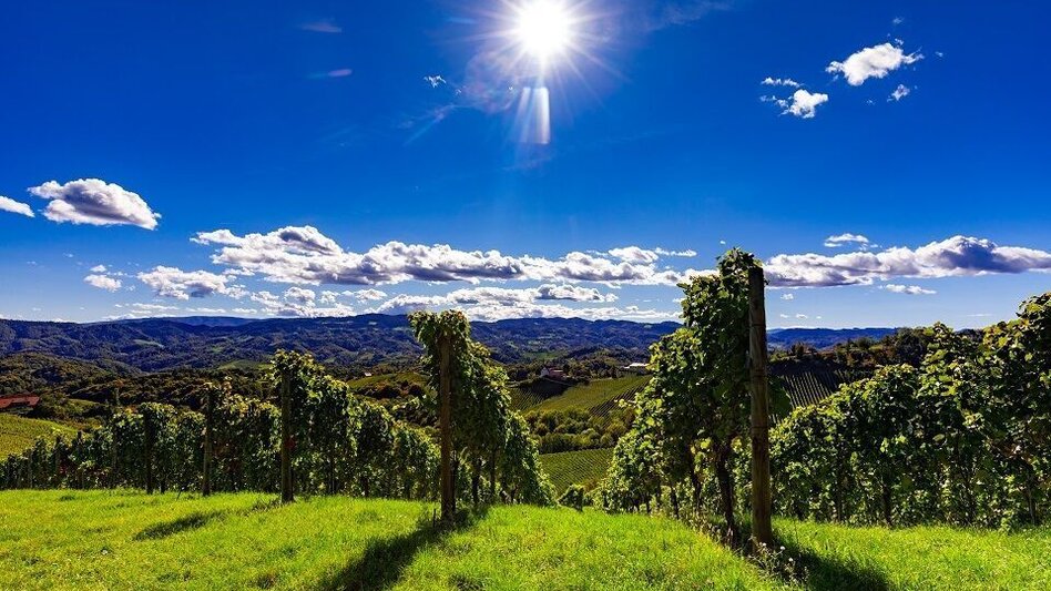 Hiking route Grubtaler Weg, Nr. 2 - Touren-Impression #2.3 | © TVB Südsteiermark/Harry Schiffer