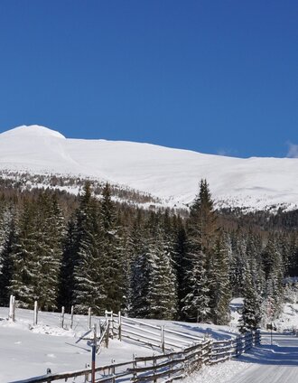 Blick vom Prebersee auf den Preber | Ewald Siebenhofer | © Tourismusverband Murau