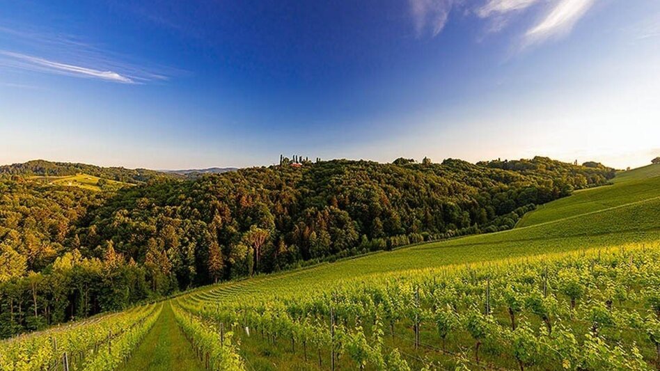 Hiking route Gamlitz-Retznei-Grubtal, path no. 1 - Touren-Impression #2.3 | © TVB Südsteiermark/Harry Schiffer