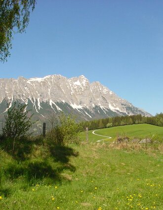 bewegungsarena - marathonrunde (m1)_img_16509141 | Schladming Dachstein - TVB Gröbminger Land | © Erlebnisregion Schladming-Dachstein