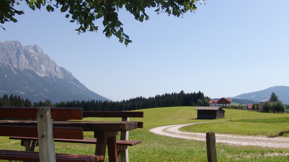 Nordic Walking Bewegungsarena - Marathonrunde (M1) - Touren-Impression #2.3 | © Erlebnisregion Schladming-Dachstein