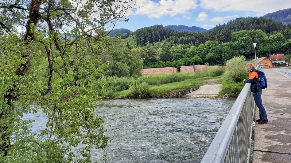 Hiking route Apfelberg Panorama Trail starting from Knittelfeld - Touren-Impression #2.2 | © Weges OG