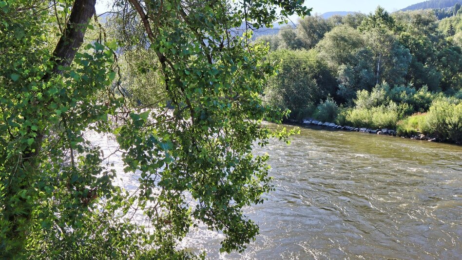 Hiking route Apfelberg Panorama Trail starting from Knittelfeld - Touren-Impression #2.3 | © Weges OG