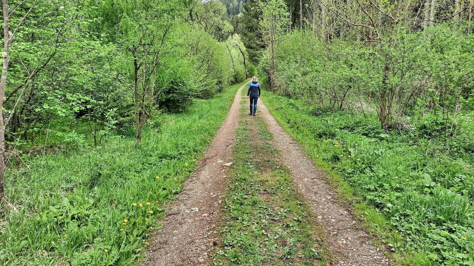 Hiking route Apfelberg Panorama Trail starting from Knittelfeld - Touren-Impression #2.8 | © Weges OG