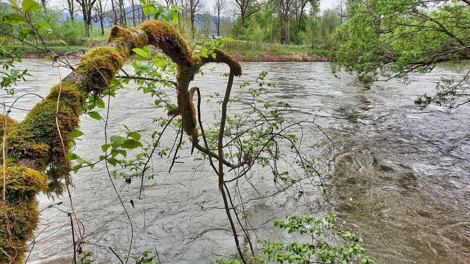 Hiking route Apfelberg Panorama Trail starting from Knittelfeld - Touren-Impression #2.9 | © Weges OG