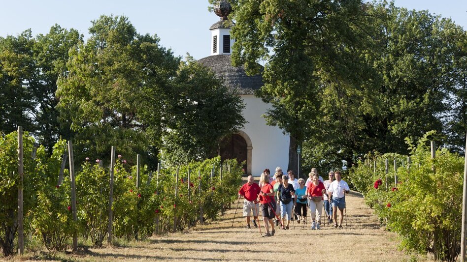 Themen- und Lehrpfad Weg der Besinnung - Touren-Impression #2.1 | © Erlebnisregion Thermen- & Vulkanland