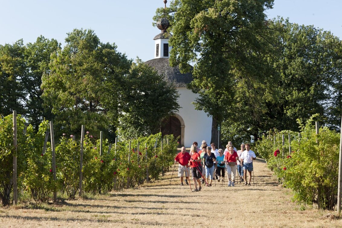 Themen- und Lehrpfad Weg der Besinnung - Touren-Impression #1 | © Erlebnisregion Thermen- & Vulkanland