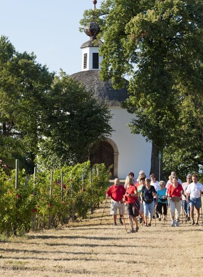 Nordic Walking zwischen den Weingärten | © Erlebnisregion Thermen- & Vulkanland | Werner Krug | © Erlebnisregion Thermen- & Vulkanland