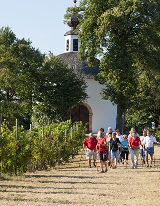 Nordic Walking zwischen den Weingärten | Werner Krug | © Erlebnisregion Thermen- & Vulkanland