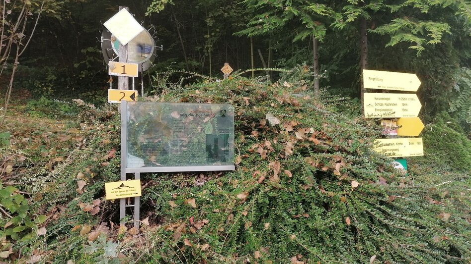 Themen- und Lehrpfad Weg der Besinnung - Touren-Impression #2.6 | © Thermen- & Vulkanland