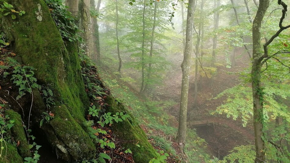 Themen- und Lehrpfad Weg der Besinnung - Touren-Impression #2.8 | © Thermen- & Vulkanland