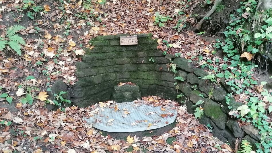 Themen- und Lehrpfad Weg der Besinnung - Touren-Impression #2.10 | © Thermen- & Vulkanland