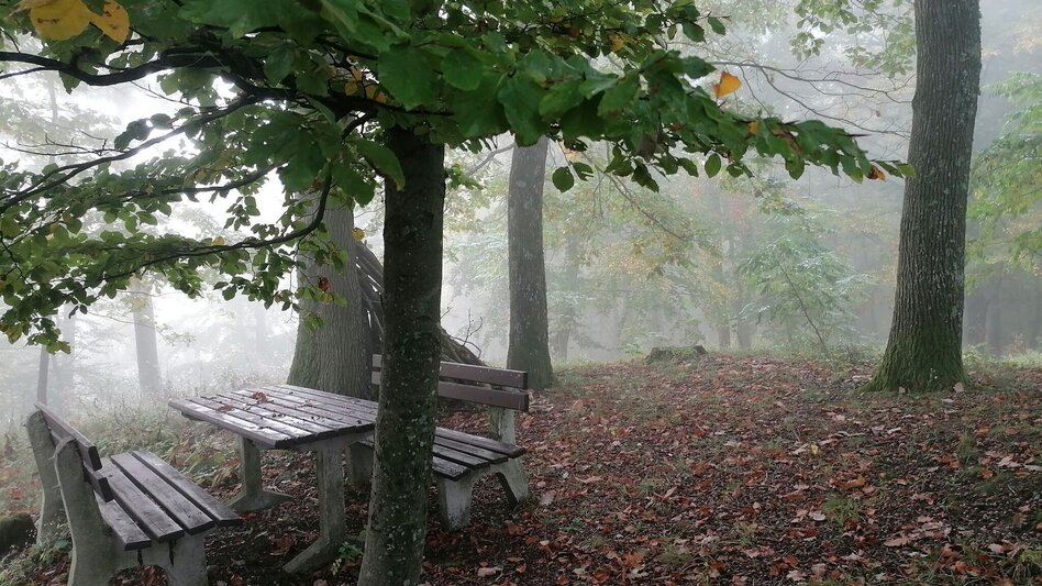 Themen- und Lehrpfad Weg der Besinnung - Touren-Impression #2.13 | © Thermen- & Vulkanland