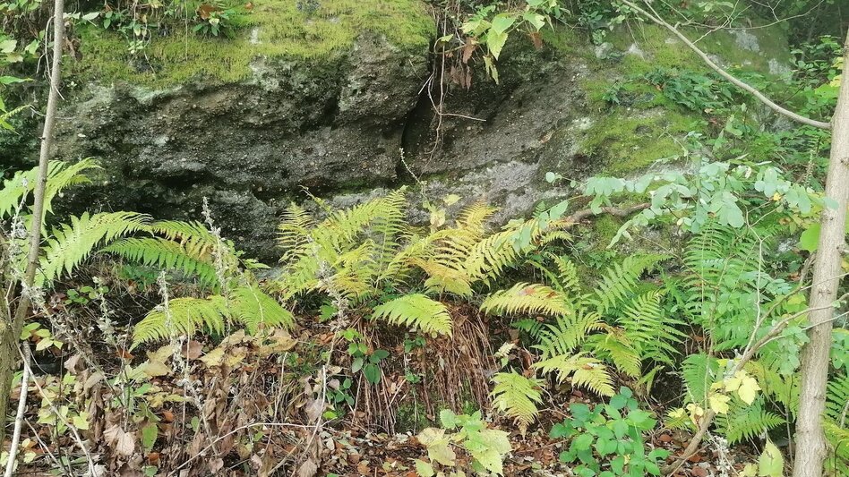 Themen- und Lehrpfad Weg der Besinnung - Touren-Impression #2.14 | © Thermen- & Vulkanland