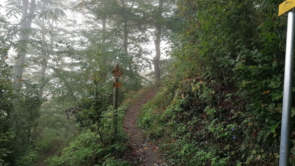 Themen- und Lehrpfad Weg der Besinnung - Touren-Impression #2.15 | © Erlebnisregion Thermen- & Vulkanland