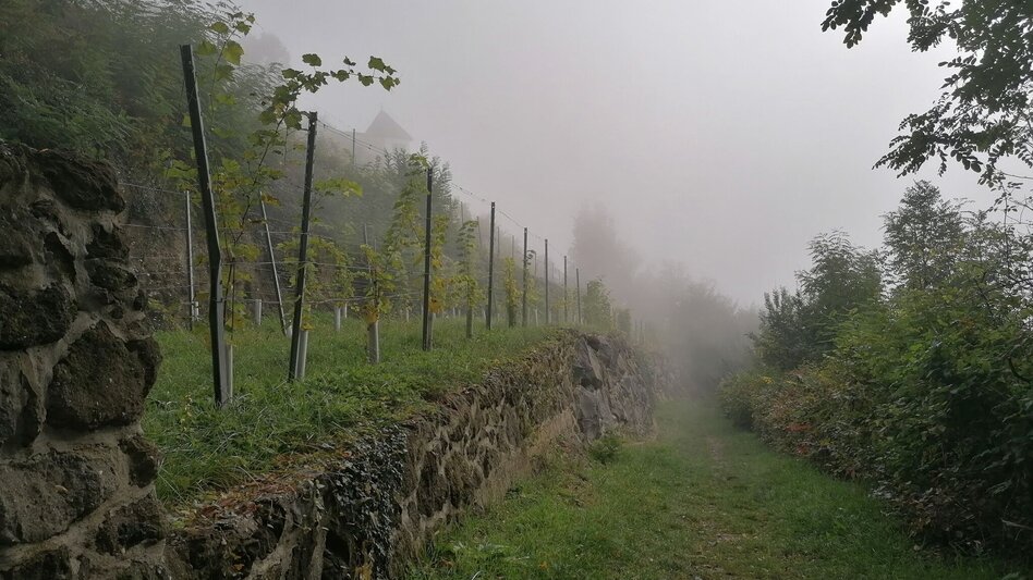 Themen- und Lehrpfad Weg der Besinnung - Touren-Impression #2.20 | © Erlebnisregion Thermen- & Vulkanland