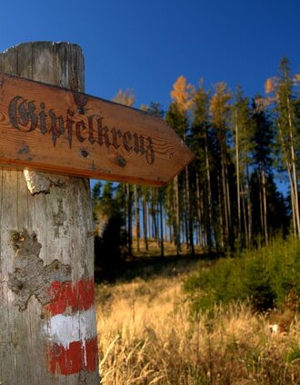 Kurz vor dem Madereckgipfel | Katrin Fleck | © TV Hochsteiermark