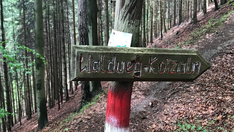 Hiking route From St. Dionysen/Bruck to the Kotzalm - Touren-Impression #2.4 | © TV Hochsteiermark