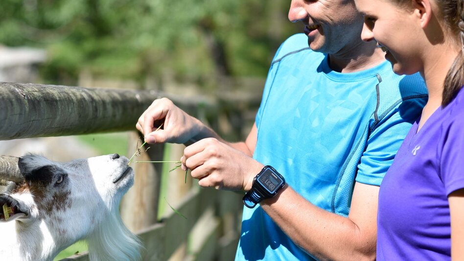Hiking route Bruck Heuberg Loop - Touren-Impression #2.4 | © TV Hochsteiermark