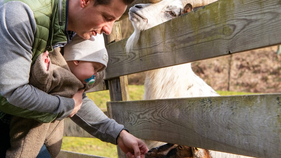 Hiking route Bruck Heuberg Loop - Touren-Impression #2.9 | © TV Hochsteiermark