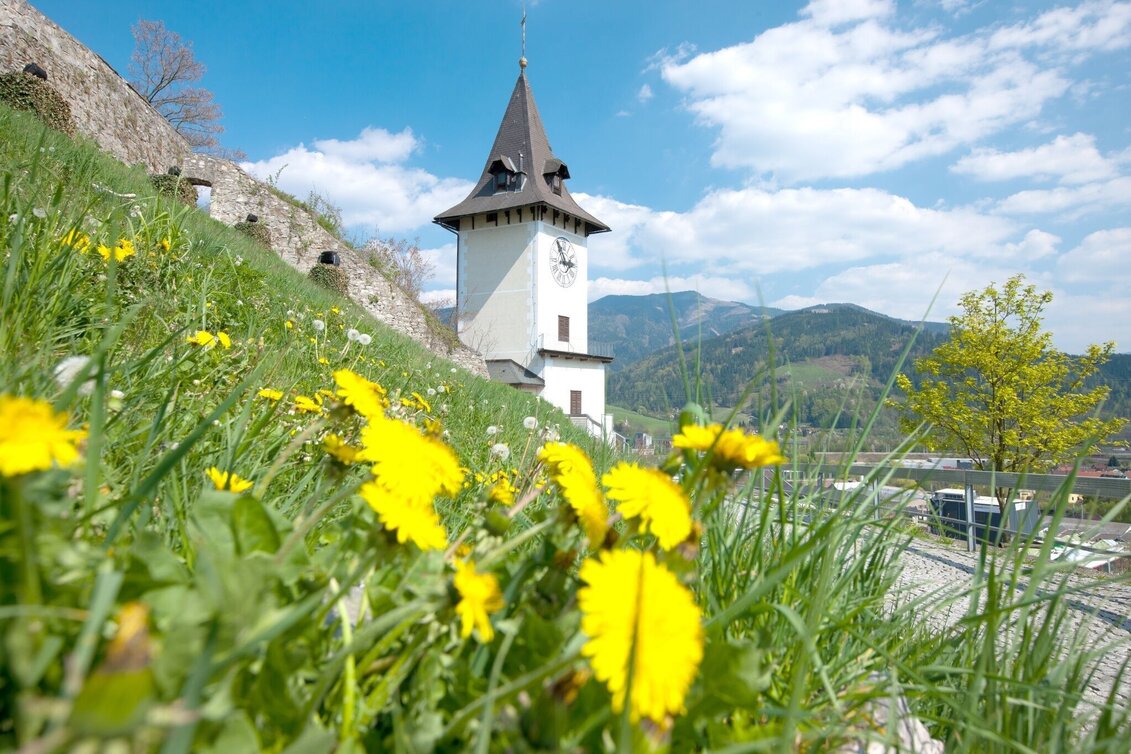 Wanderung Spaziergang auf den Brucker Schlossberg - Touren-Impression #1 | © TV Hochsteiermark