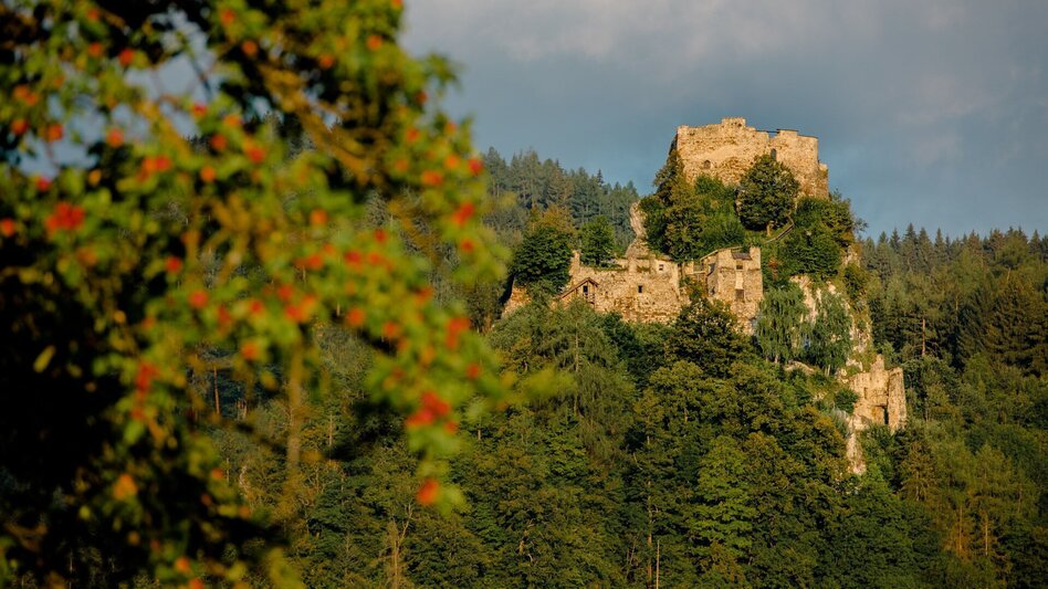 Bike Riding Nimm's Radl 02 - Zirbenland Round - Touren-Impression #2.1 | © Erlebnisregion Murtal