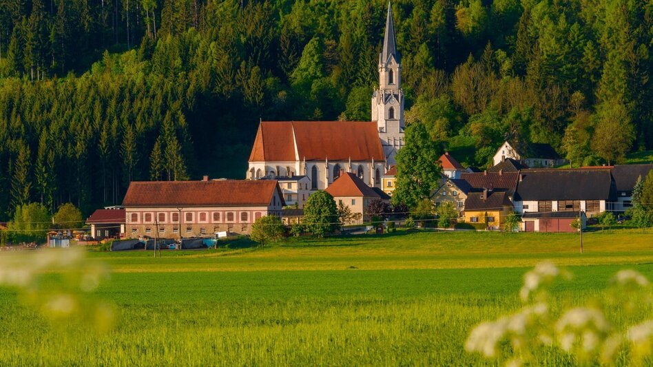 Bike Riding Nimm's Radl 02 - Zirbenland Round - Touren-Impression #2.3 | © Erlebnisregion Murtal