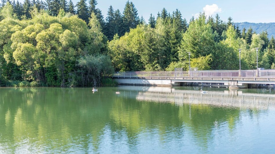 Radfahren Nimm´s Radl 03 - Murtal Runde - Touren-Impression #2.4 | © Anita Fössl