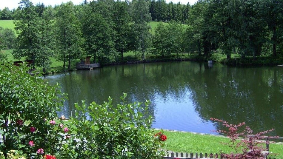 Radfahren Nimm´s Radl 05 - Seckau-Gaal Runde - Touren-Impression #2.2 | © Gasthof Teichwirt