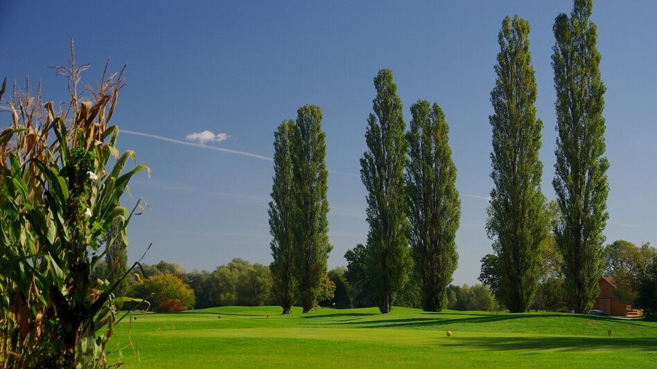 Wanderung Au & Uferweg - Lange Variante / Weg 8 - Touren-Impression #2.3 | © Thermen- & Vulkanland