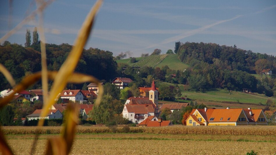 Wanderung Au & Uferweg - Lange Variante / Weg 8 - Touren-Impression #2.4 | © Thermen- & Vulkanland