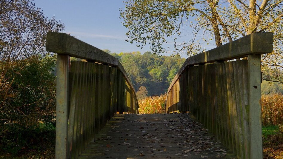 Wanderung Au & Uferweg - Lange Variante / Weg 8 - Touren-Impression #2.5 | © Thermen- & Vulkanland
