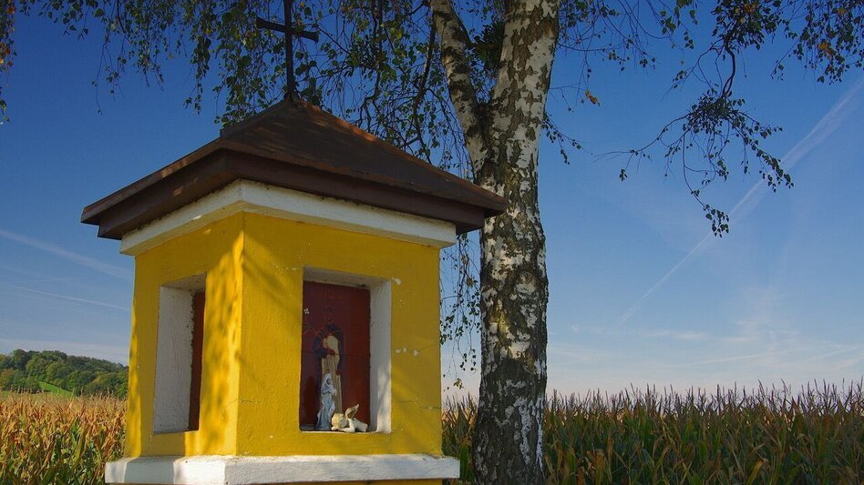 Wanderung Au & Uferweg - Lange Variante / Weg 8 - Touren-Impression #2.6 | © Thermen- & Vulkanland