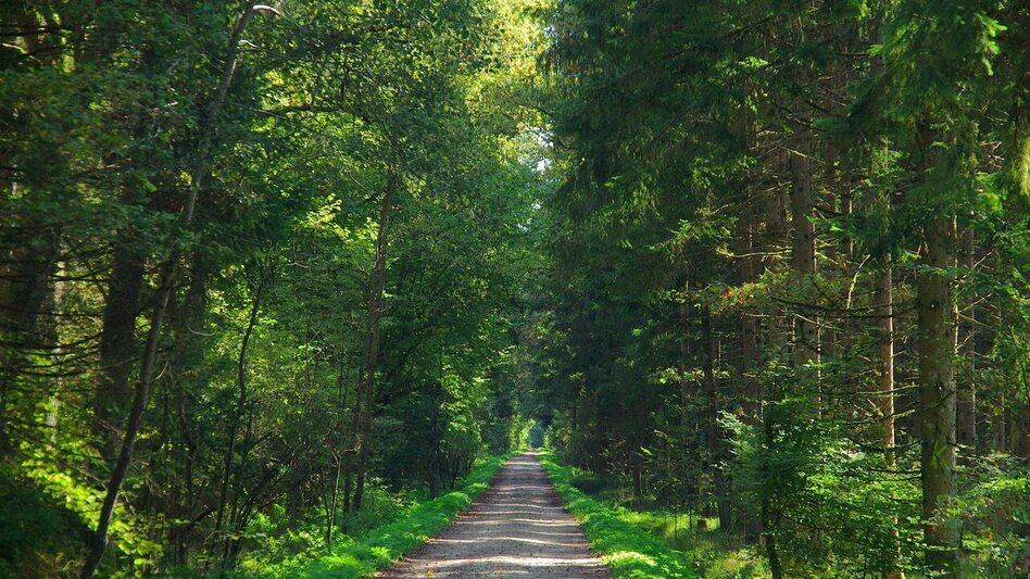 Wanderung Au & Uferweg - Lange Variante / Weg 8 - Touren-Impression #2.8 | © Thermen- & Vulkanland