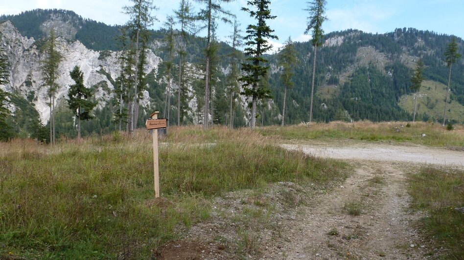 Wanderung Adambaueralm Hinterwildalpen - Touren-Impression #2.1 | © Tourismusverband Wildalpen