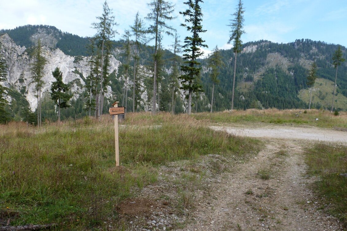 Wanderung Adambaueralm Hinterwildalpen - Touren-Impression #1 | © Tourismusverband Wildalpen