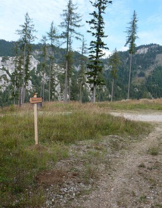 Abzweigung zur Adambaueralm | Christian Scheucher | © Tourismusverband Wildalpen