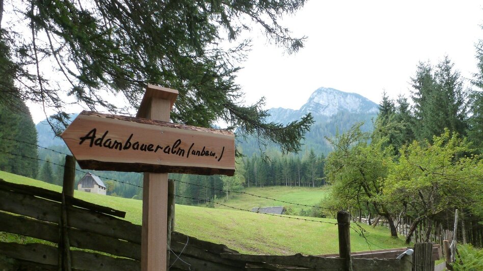 Wanderung Adambaueralm Hinterwildalpen - Touren-Impression #2.2 | © Tourismusverband Wildalpen
