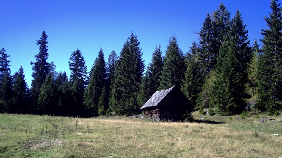 Wanderung Adambaueralm Hinterwildalpen - Touren-Impression #2.3 | © Tourismusverband Wildalpen