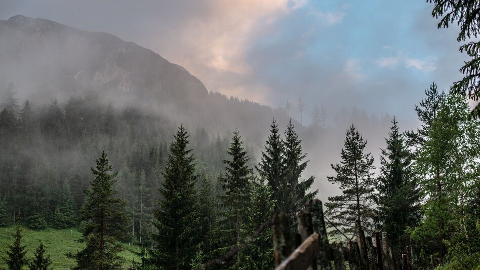 Wanderung Adambaueralm Hinterwildalpen - Touren-Impression #2.4 | © TV Gesäuse