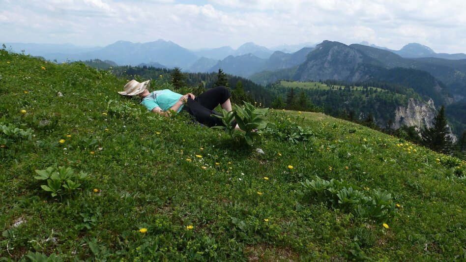Bergtour Buchberg Wildalpen - Touren-Impression #2.1 | © Tourismusverband Wildalpen
