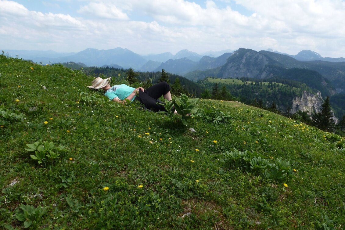 Bergtour Buchberg Wildalpen - Touren-Impression #1 | © Tourismusverband Wildalpen