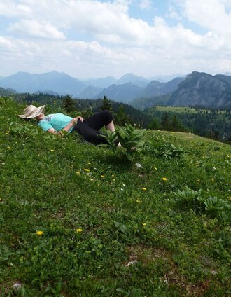 Blick vom Buchberg nach Wildalpen | Christian Scheucher | © Tourismusverband Wildalpen