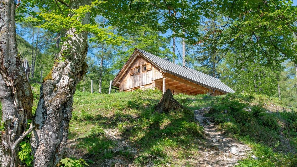 Bergtour Buchberg Wildalpen - Touren-Impression #2.6 | © TV Gesäuse