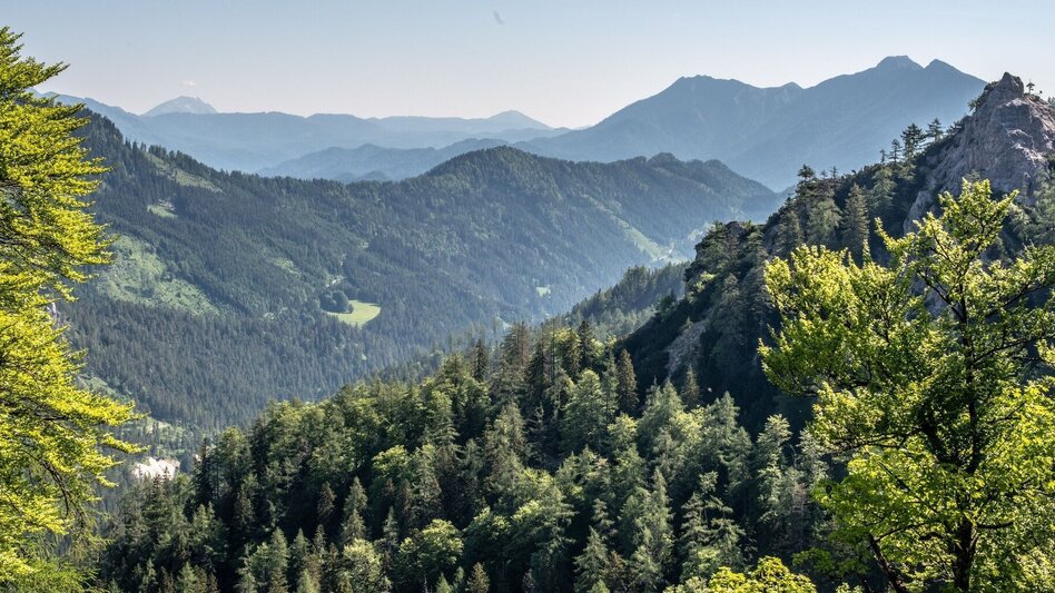Bergtour Buchberg Wildalpen - Touren-Impression #2.7 | © TV Gesäuse